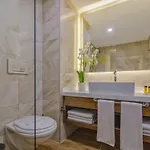Hotel Ring 5*