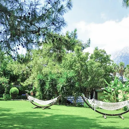 ホテル Ring ベルディビ